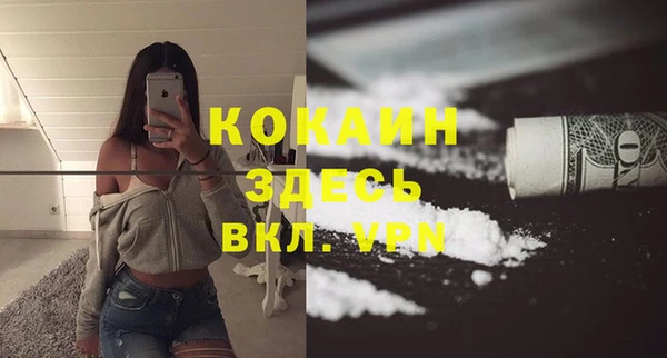 сатива Белоозёрский