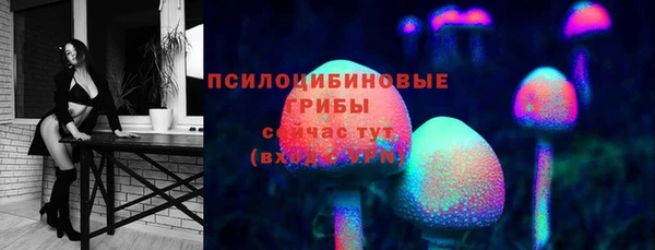 скорость mdpv Белокуриха