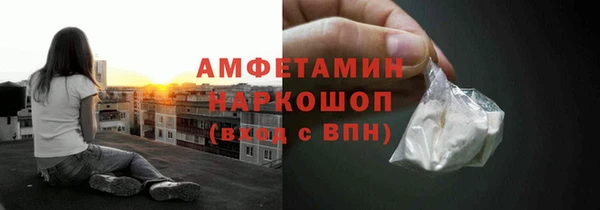 хмурый Ельня