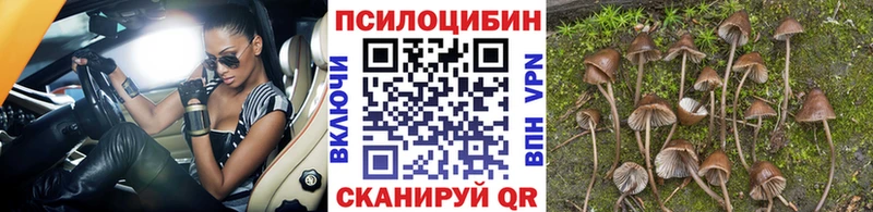 Галлюциногенные грибы Magic Shrooms  Высоцк 